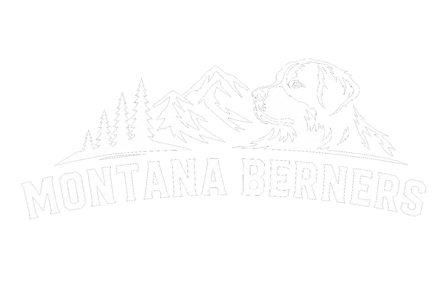 Montana Berners – Breeders of Exceptional Bernese Mountain Dogs and Bernedoodles